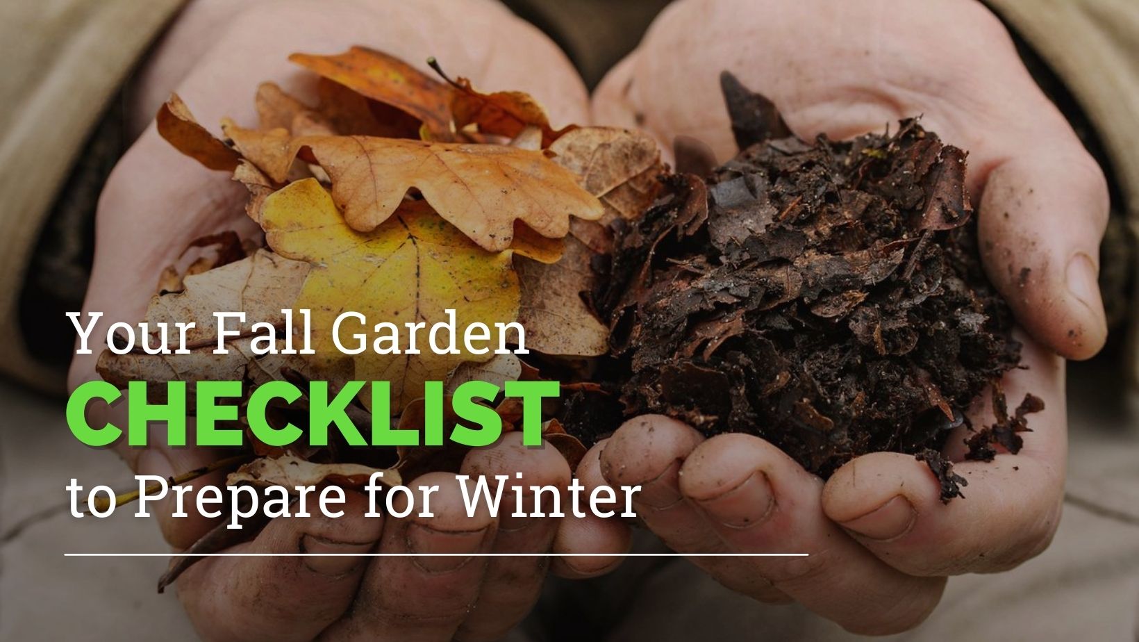 fall garden in his hands